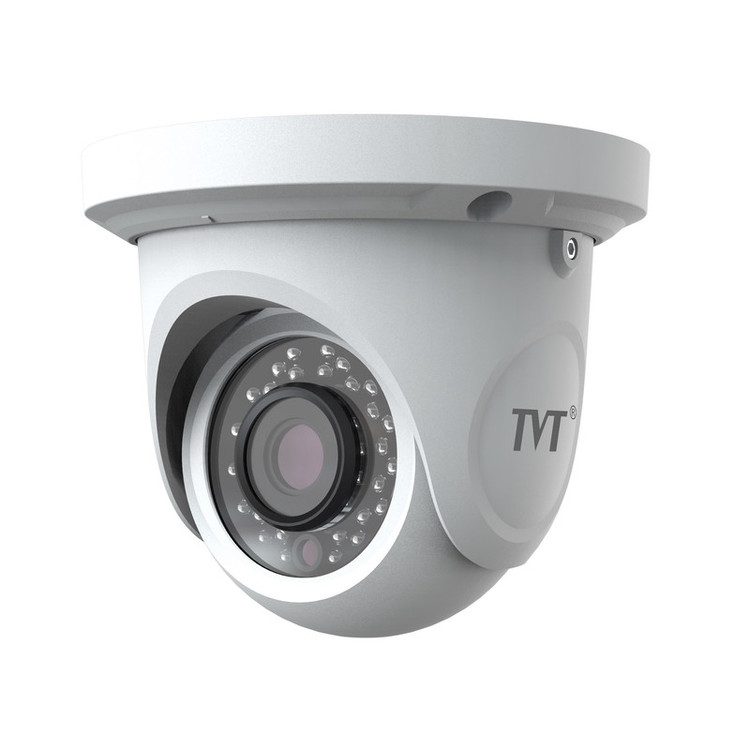 دوربین مداربسته آنالوگ تی وی تی مدل TD-7524AS2